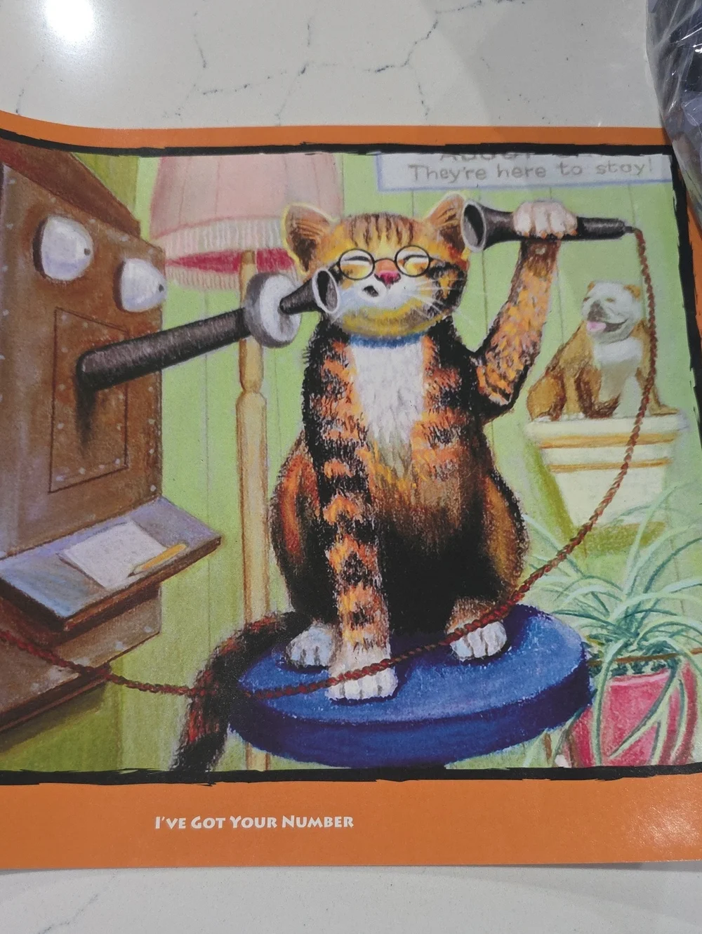 Serendipity 550 Piece Jigsaw Puzzle NEW in Coin Bank Canister Cat On The Phone